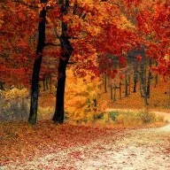 damalsimherbst