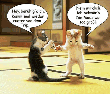 KatzenAnglerGeschichten.gif