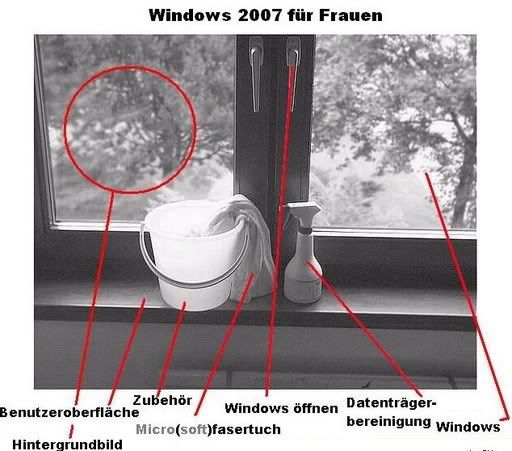 windowsfrFrauen.jpg